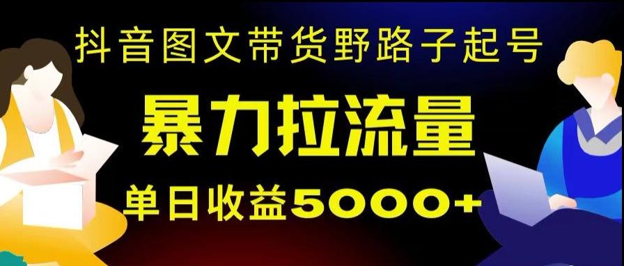 抖音图文带货暴力起号，单日收益5000+，野路子玩法，简单易上手，一部手机即可【揭秘】-511资料网