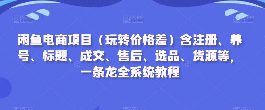 闲鱼电商项目(玩转价格差)含注册、养号、标题、成交、售后、选品、货源等，一条龙全系统教程-511资料网