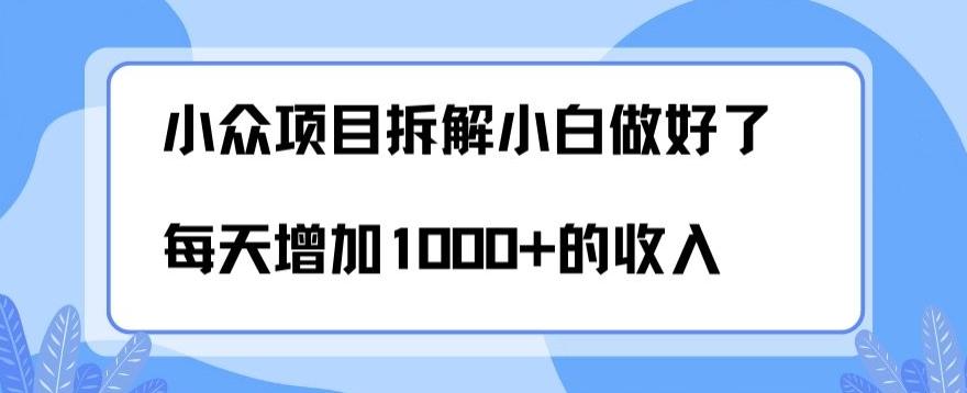 小众项目拆解，小白做好了每天可增加1000多的收入-511资料网