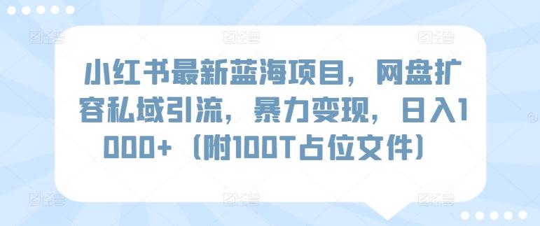 小红书最新蓝海项目，网盘扩容私域引流，暴力变现，日入1000+(附100T占位文件)【揭秘】-511资料网