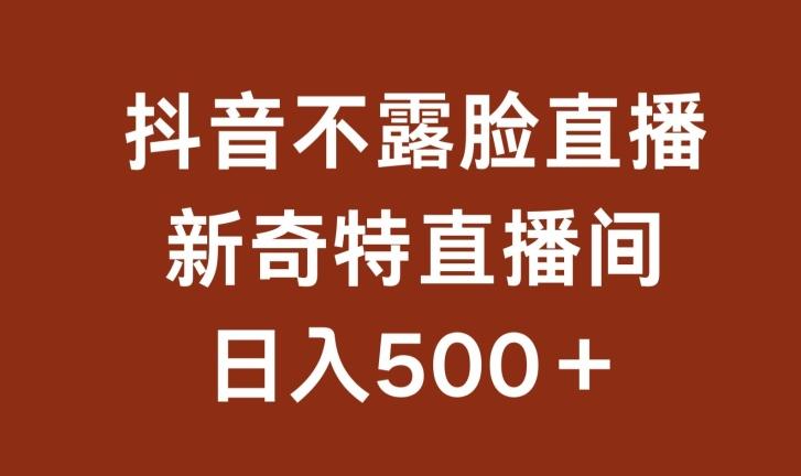 不露脸挂机直播，新奇特直播间，日入500+【揭秘】-511资料网
