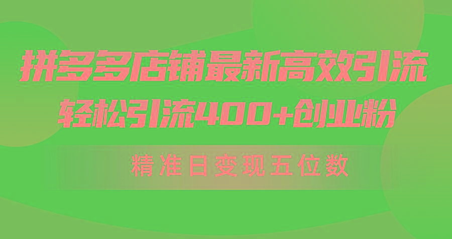 (10041期)拼多多店铺最新高效引流术，轻松引流400+创业粉，精准日变现五位数！-511资料网