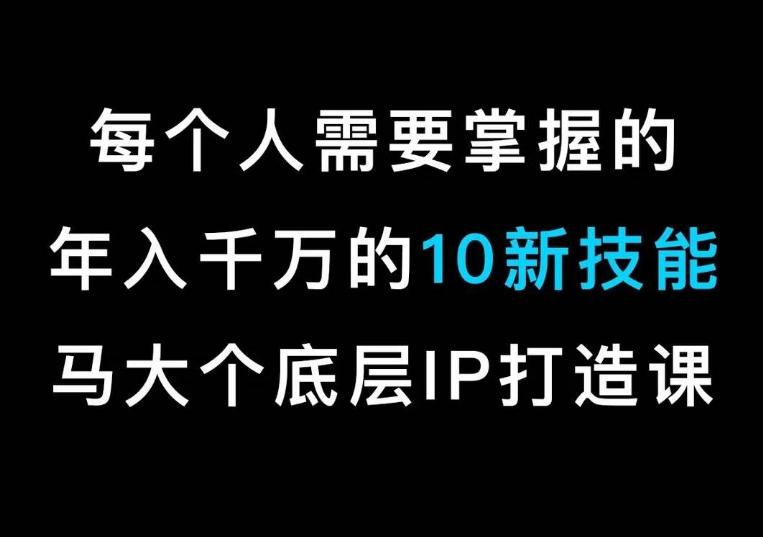 马大个的IP底层逻辑课，​每个人需要掌握的年入千万的10新技能，约会底层IP打造方法！-511资料网