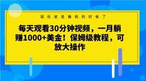 每天观看30分钟视频，一月躺赚1000+美金！保姆级教程，可放大操作【揭秘】-511资料网