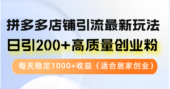 拼多多店铺引流最新玩法，日引200+高质量创业粉，每天稳定1000+收益(…-511资料网