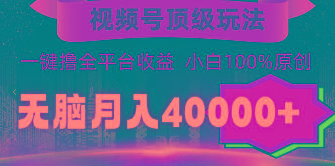 (9281期)视频号顶级玩法，无脑月入40000+，一键撸全平台收益，纯小白也能100%原创-511资料网