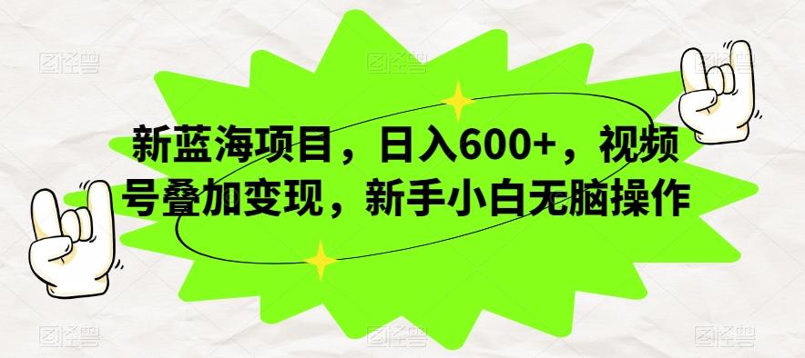 新蓝海项目，日入600+，视频号叠加变现，新手小白无脑操作【揭秘】-511资料网