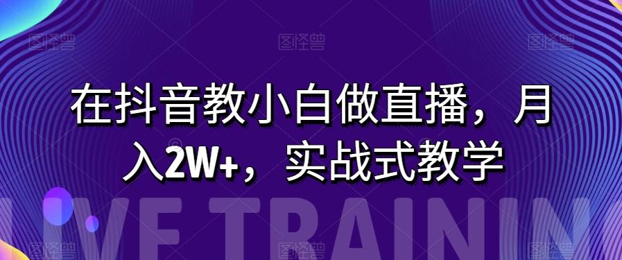 在抖音教小白做直播，月入2W+，实战式教学【揭秘】-511资料网