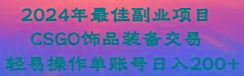2024年最佳副业项目 CSGO饰品装备交易 轻易操作单账号日入200+-511资料网