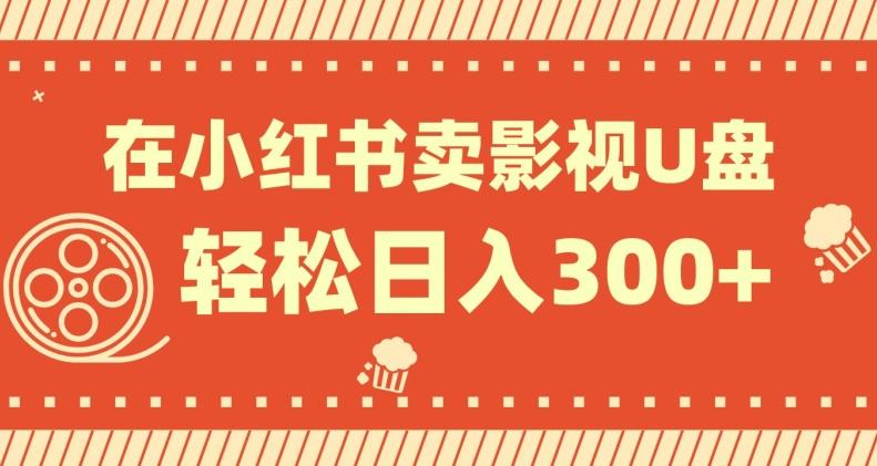 在小红书上卖影视U盘，轻松日入300+，操作简单，小白可轻松上手-511资料网