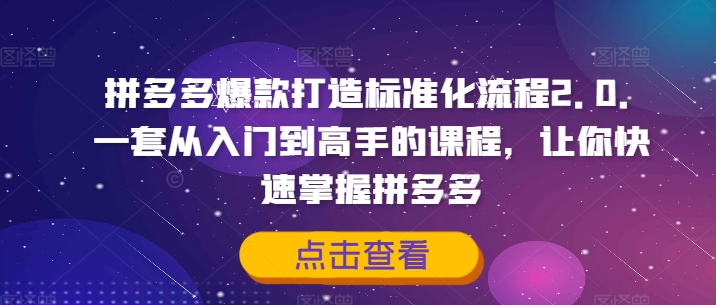 拼多多爆款打造标准化流程2.0，一套从入门到高手的课程，让你快速掌握拼多多-511资料网