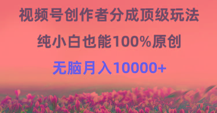 (9608期)视频号创作者分成顶级玩法，纯小白也能100%原创，无脑月入10000+-511资料网