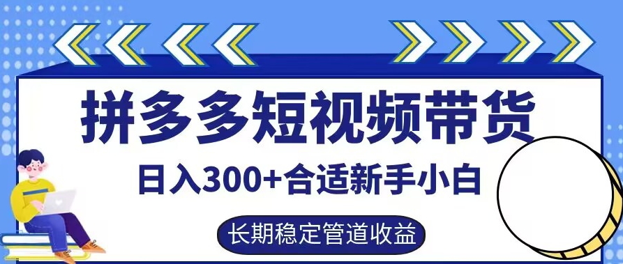 拼多多短视频带货日入300+有长期稳定被动收益，合适新手小白【揭秘】-511资料网