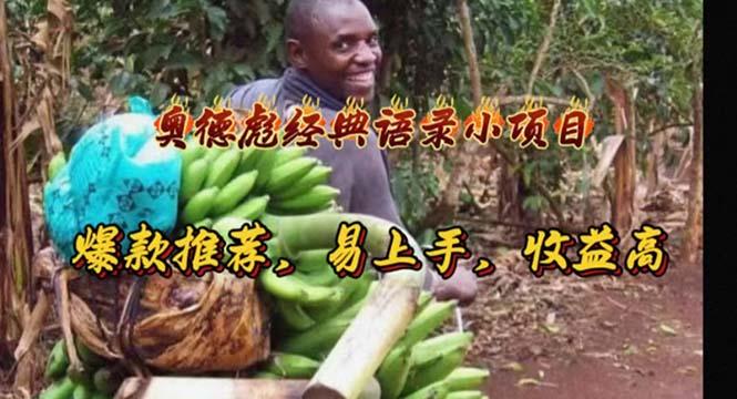 奥德彪经典语录小项目，爆款推荐，易上手，收益高-511资料网