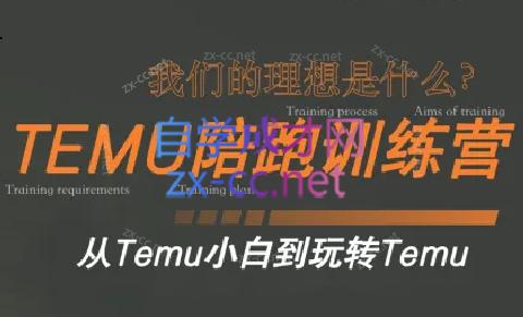 苗苗·拼多多跨境（temu）课程-511资料网