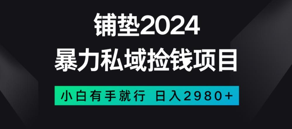 暴力私域捡钱项目，小白无脑操作，日入2980【揭秘】-511资料网