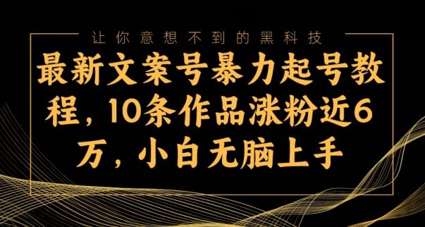最新文案号暴力起号教程，10条作品涨粉近6万，小白无脑上手-511资料网
