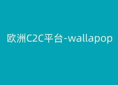 欧洲C2C平台-wallapop-kim跨境电商教程-511资料网