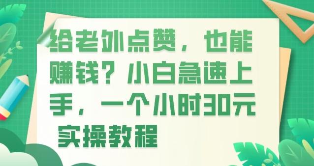 给老外点赞，也能赚钱？小白急速上手，实操教程-511资料网