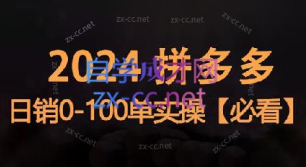 恒哥·2024拼多多日销0-100单实操-511资料网