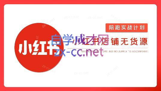 安琪·小红书店铺无货源-511资料网