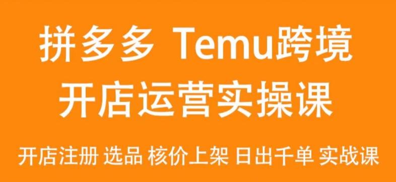 2024Temu最新玩法，Temu跨境开店运营实操课，开店注册/选品/核价上架/日出千单实战课-511资料网