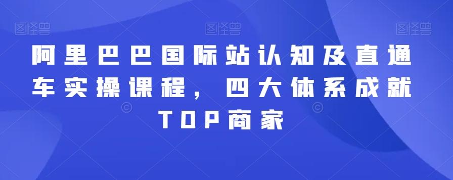 阿里巴巴国际站认知及直通车实操课程，四大体系成就TOP商家-511资料网