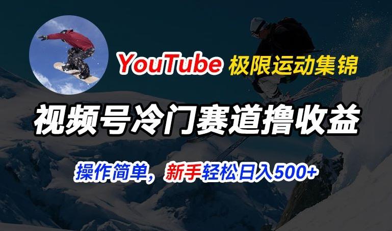 视频号冷门赛道撸收益，YouTube搬运极限运动集锦，暴力起号，操作简单流量高，轻松日入5张【揭秘】-511资料网