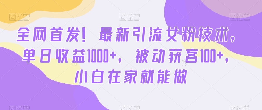 全网首发！最新引流女粉技术，单日收益1000+，被动获客100+，小白在家就能做【揭秘】-511资料网