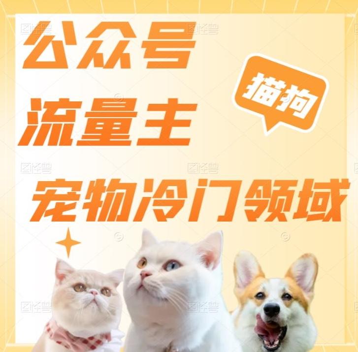 公众号流量主，萌宠冷门领域，单日收益2000+，简单暴力掘金，矩阵操作，无限放大收益！-511资料网