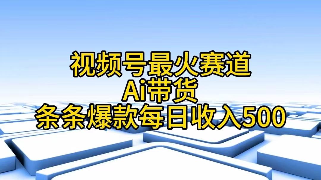 视频号最火赛道——Ai带货条条爆款每日收入500-511资料网