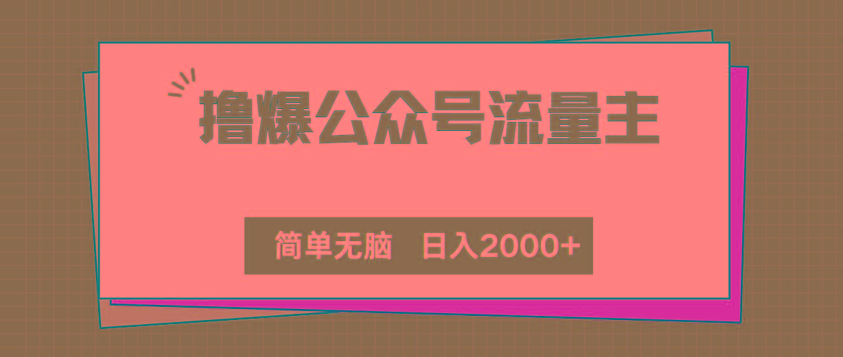 撸爆公众号流量主，简单无脑，单日变现2000+-511资料网