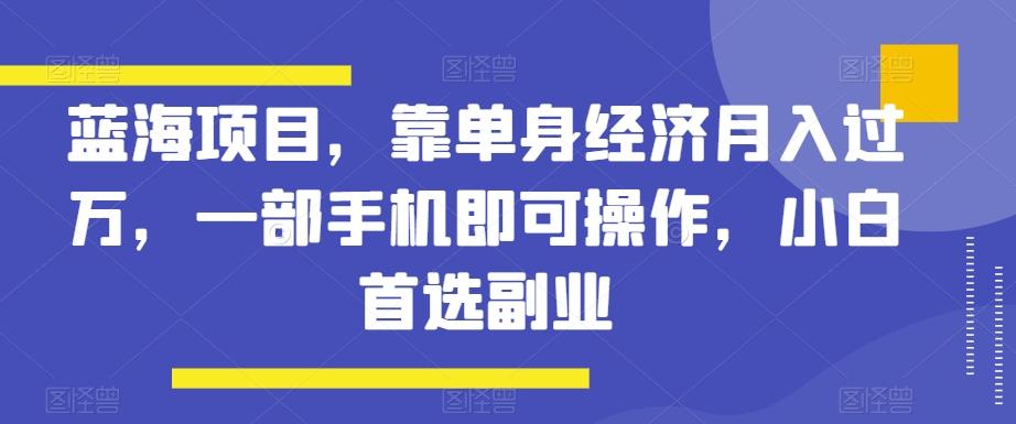 蓝海项目，靠单身经济月入过万，一部手机即可操作，小白首选副业【揭秘】-511资料网