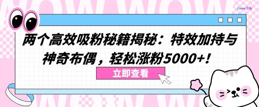 两个高效吸粉秘籍揭秘：特效加持与神奇布偶，轻松涨粉5000+【揭秘】-511资料网