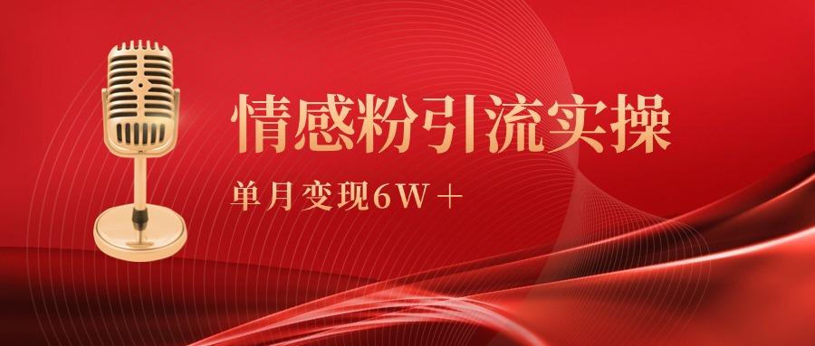 (9473期)单月变现6w+，情感粉引流变现实操课-511资料网