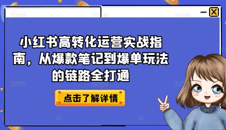小红书高转化运营实战指南，从爆款笔记到爆单玩法的链路全打通-511资料网