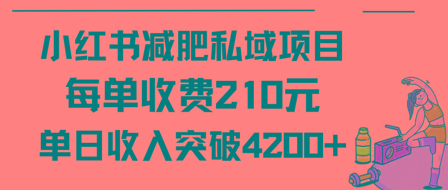 (9466期)小红书减肥私域项目每单收费210元单日成交20单，最高日入4200+-511资料网
