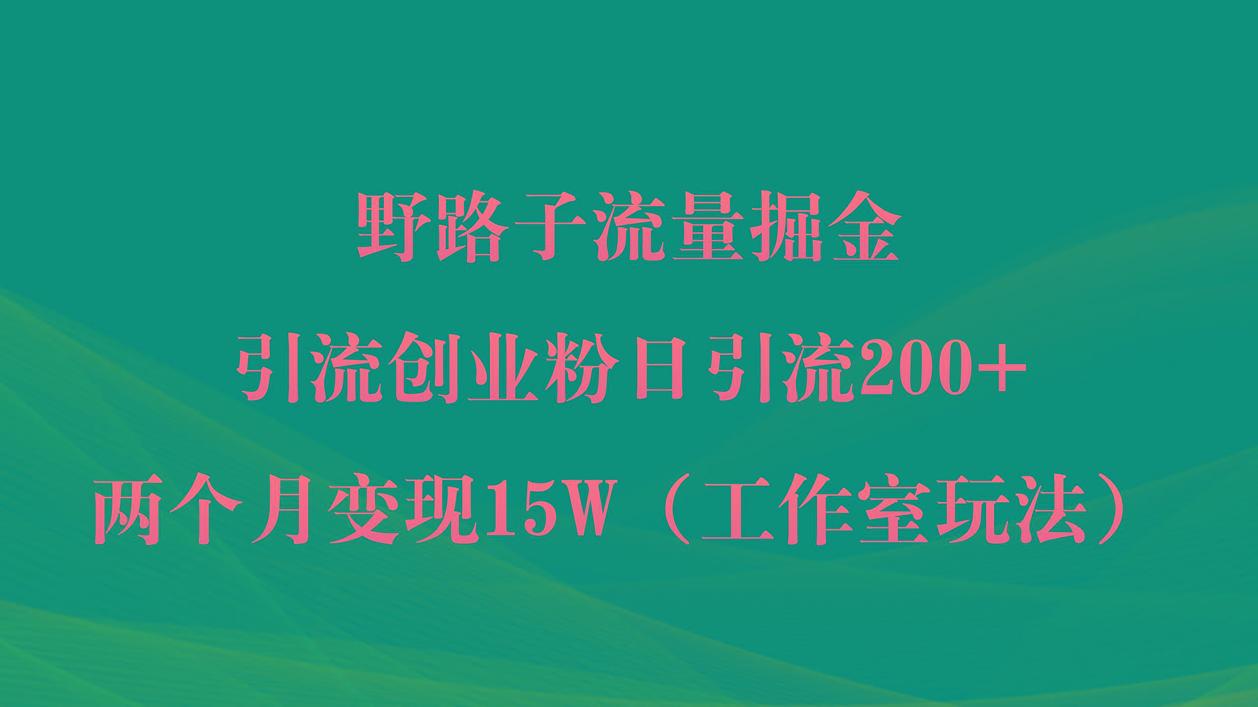 (9513期)野路子流量掘金，引流创业粉日引流200+，两个月变现15W(工作室玩法))-511资料网