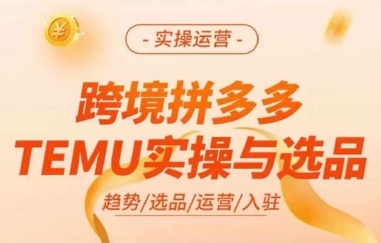 跨境拼多多TEMU实操与选品，多多temu跨境选品运营实操-511资料网