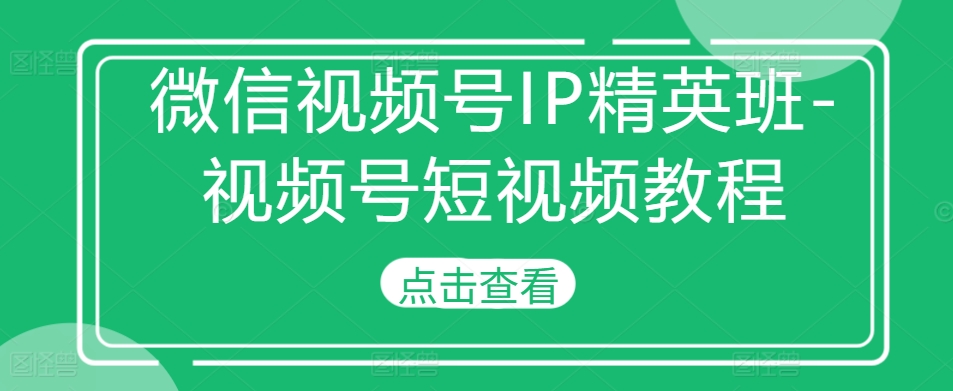 微信视频号IP精英班-视频号短视频教程-511资料网