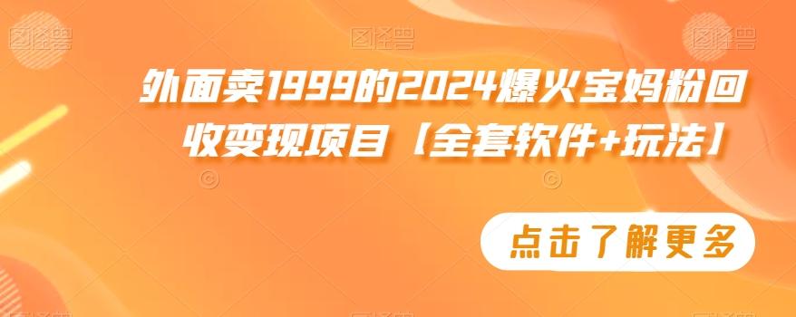 外面卖1999的2024爆火宝妈粉回收变现项目【全套软件+玩法】【揭秘】-511资料网