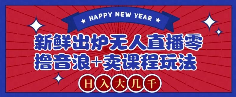 2024最新无人直播零撸音浪+卖课程玩法，日入大几千不是梦【揭秘】-511资料网