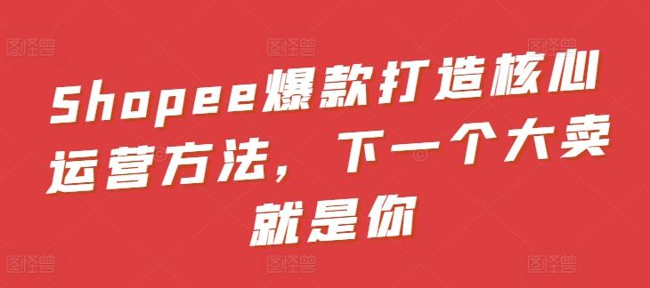 Shopee爆款打造核心运营方法，下一个大卖就是你-511资料网