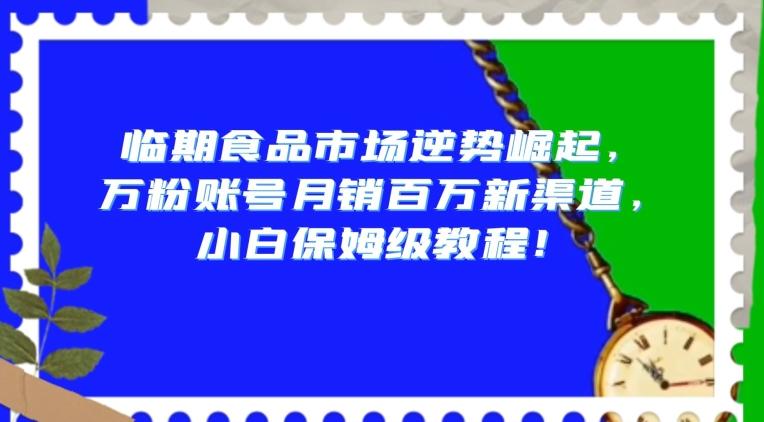 临期食品市场逆势崛起，万粉账号月销百万新渠道，小白保姆级教程【揭秘】-511资料网