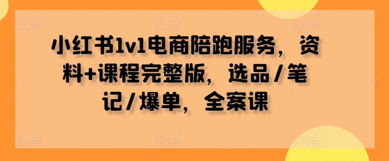小红书1v1电商陪跑服务，资料+课程完整版，选品/笔记/爆单，全案课-511资料网