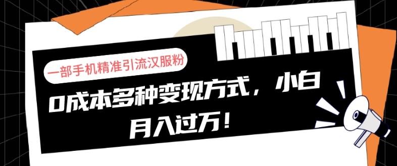 一部手机精准引流汉服粉，0成本多种变现方式，小白月入过万！-511资料网