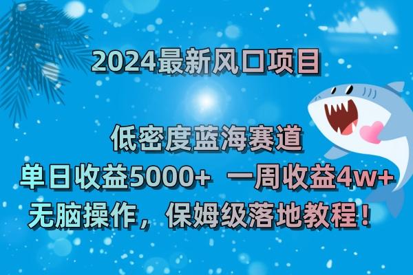 (8545期)2024最新风口项目 低密度蓝海赛道，日收益5000+周收益4w+ 无脑操作，保...-511资料网