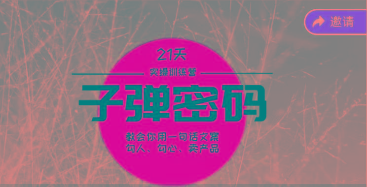 《子弹密码训练营》-用一句话文案勾人勾心卖产品，21天学到顶尖文案大师策略和技巧-511资料网
