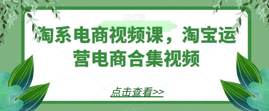 淘系电商视频课，淘宝运营电商合集视频-511资料网