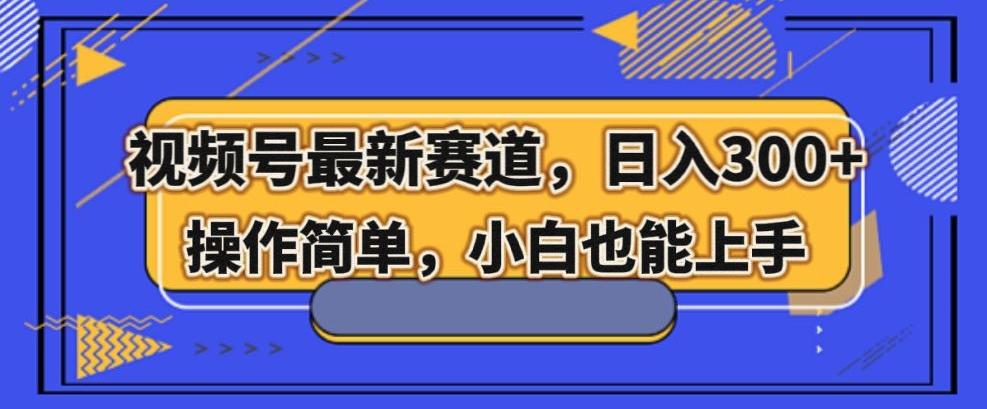 视频号最新赛道，日入300+，新手小白轻松掌握-511资料网